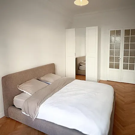 Center - Spacious Luxury With Air Conditioning 公寓 尼斯
