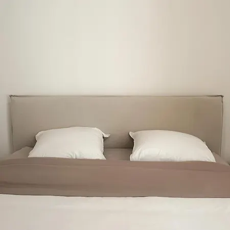 Center - Spacious Luxury With Air Conditioning 公寓 尼斯