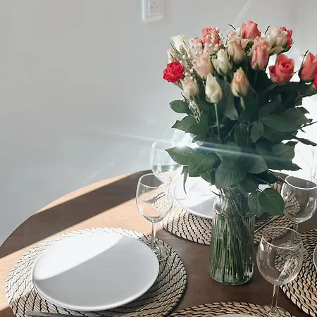 Center - Spacious Luxury With Air Conditioning 公寓 尼斯